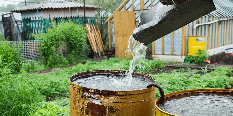 How To Save Water In Your Garden: Collect Rainwater And Reuse Greywater