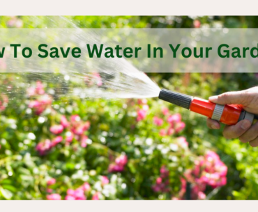How To Save Water In Your Garden?