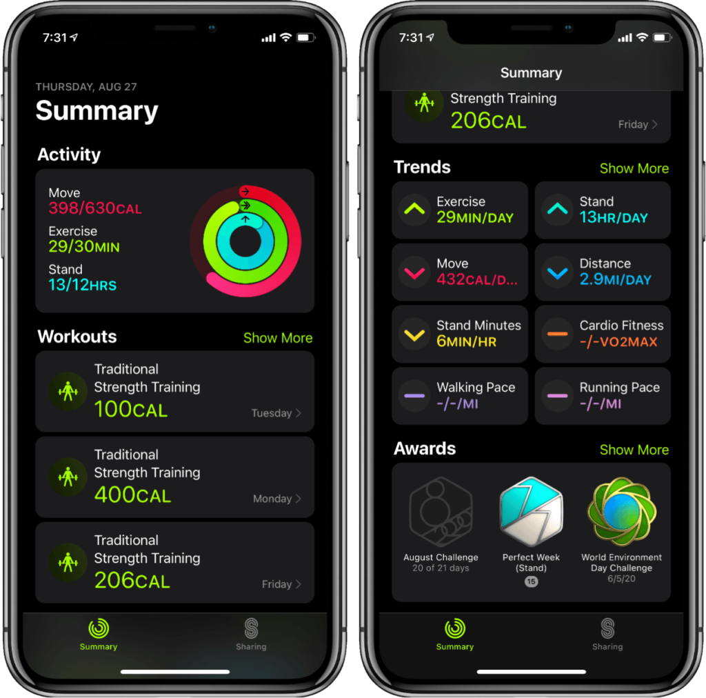 Activity View in the Fitness App