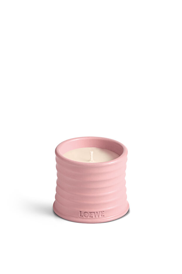 best candles for home: Loewe Home Scents Ivy Scented Candle
