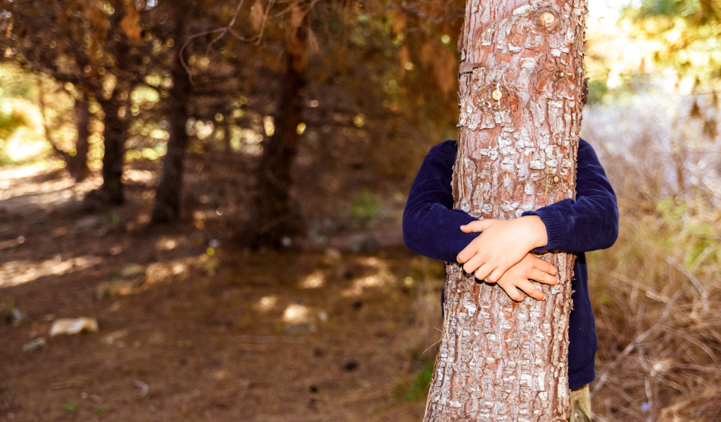 Tree Hugging Meditation