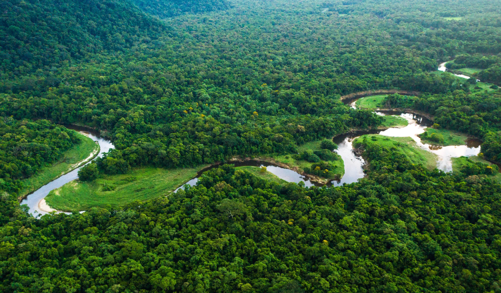 Places To Visit In The Amazon Rainforest