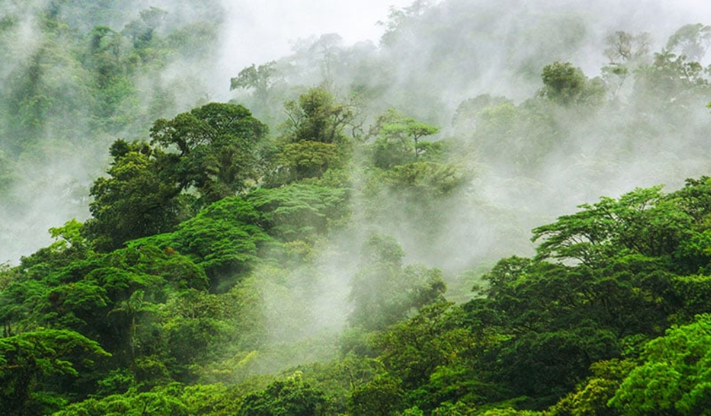 Enjoy ecotourism in Costa Rica with cloud forest