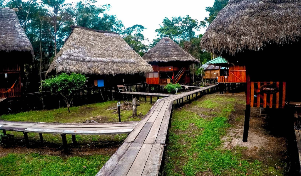 Enjoy Ecotourism In The Amazon