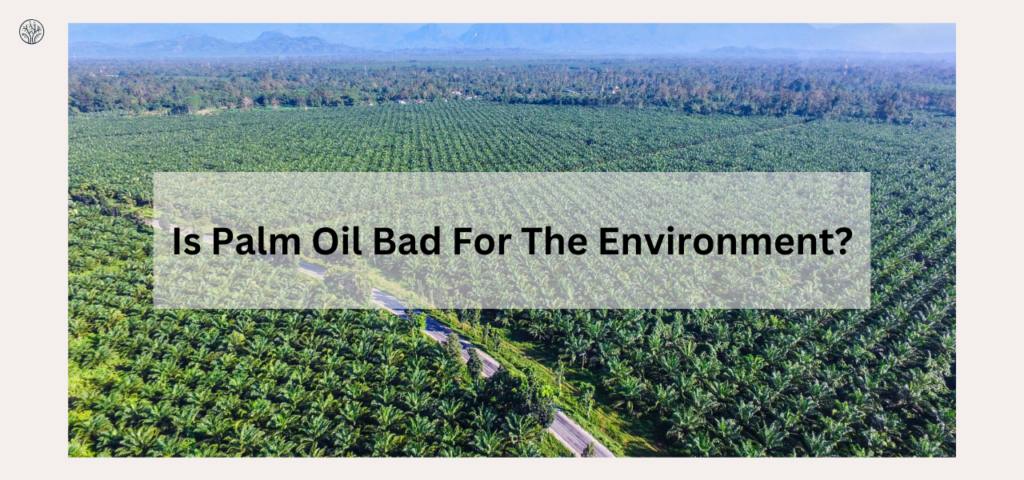 is palm oil bad for the environment?