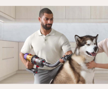 Best Pet Grooming Vacuum Kits