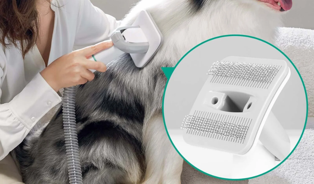 INSE P20 Pro Pet Grooming Vacuum
