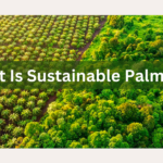 what is sustainable palm oil?