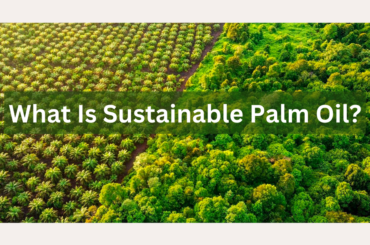 what is sustainable palm oil?
