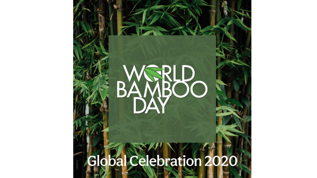 world bamboo day 2022