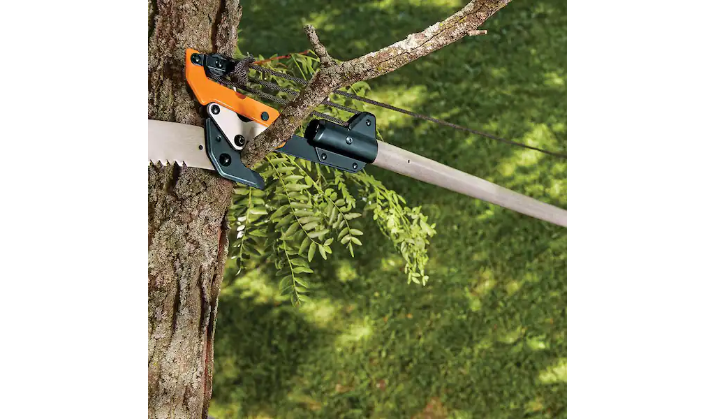 best tool to remove roots: pole pruner