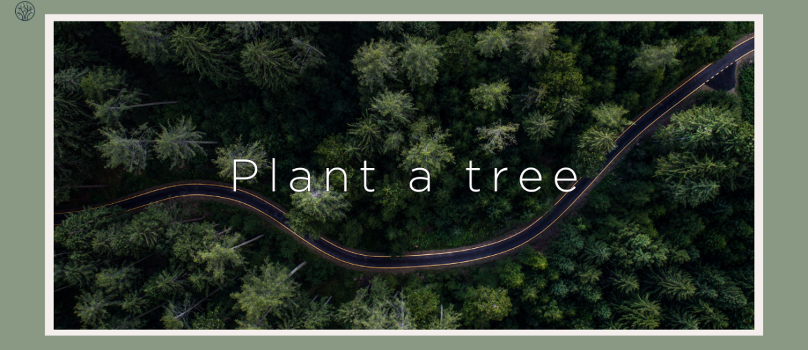 companies that plant trees