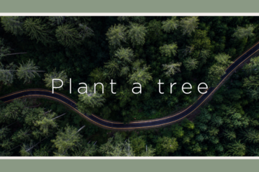 companies that plant trees
