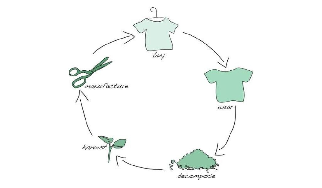 Fast Fashion vs Sustainable Fashion: Consumer Perspective