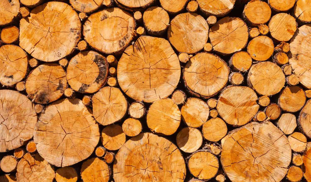 Sell Your Lumber For Tree Removal for Free
