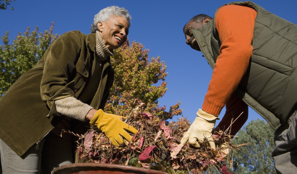 Tree Removal Assistance For Elderly Individuals