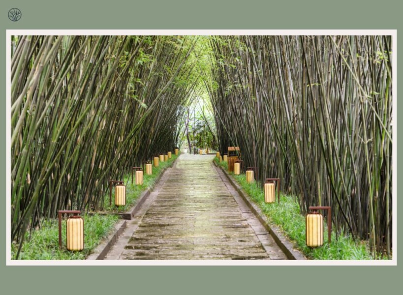bamboo spacing