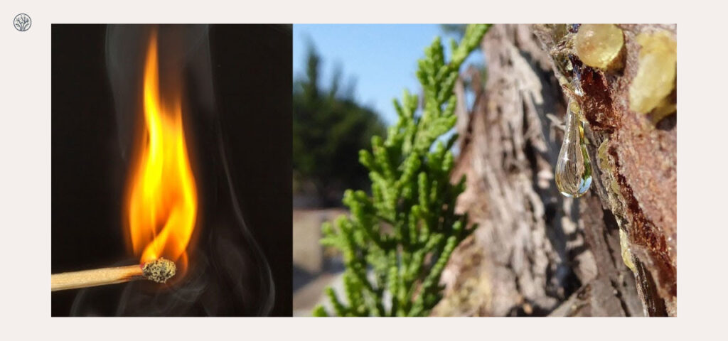 Is tree sap flammable?